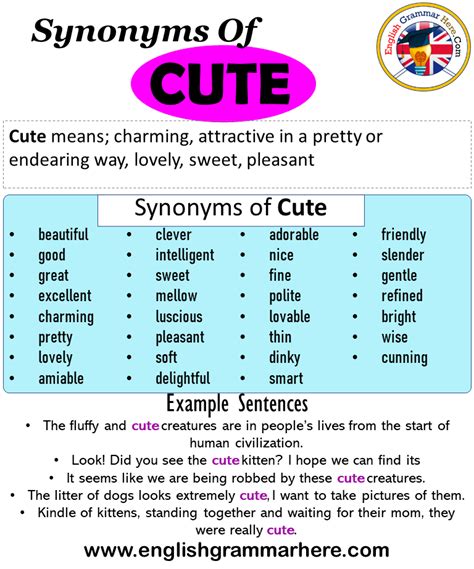 cute traduzione|cute synonyms in english.